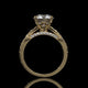 Round Lab Diamond Engagement Ring – Hidden Halo Cathedral Setting