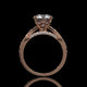 Round Lab Diamond Engagement Ring – Hidden Halo Cathedral Setting